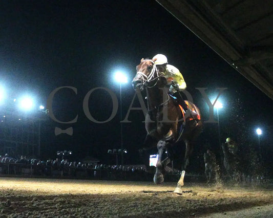 Skippylongstocking - Charles Town Classic G2 16Th Running 08-23-24 R11 Ct Under Rail 02 Hollywood