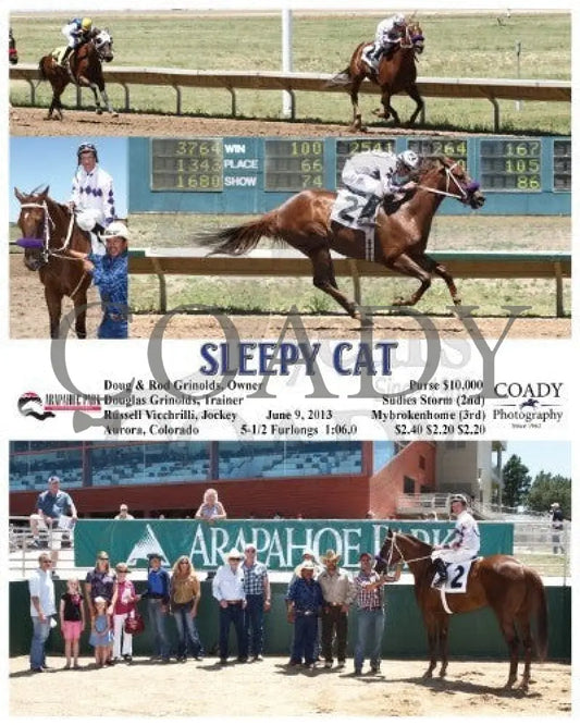 Sleepy Cat - 060913 Race 02 Arp Arapahoe Park