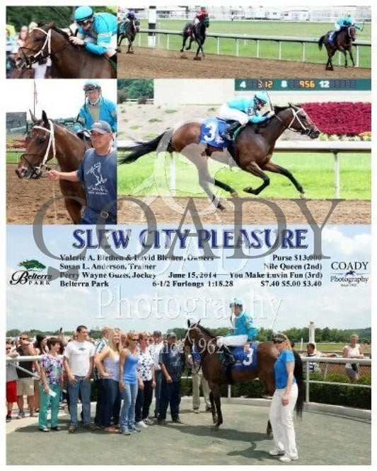 Slew City Pleasure - 061514 Race 03 Btp Belterra Park