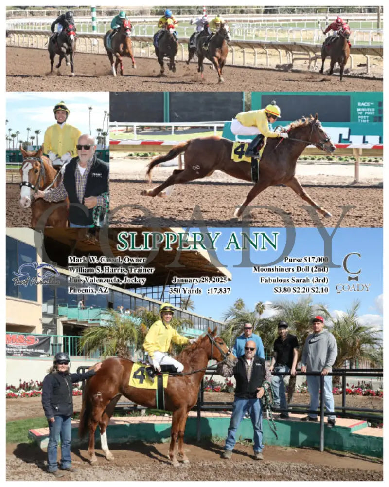 Slippery Ann - 01-28-25 R01 Tup Turf Paradise