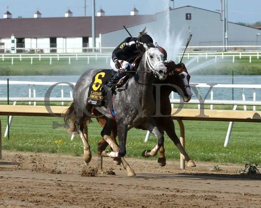 SMOKEN BOY - Caesars - 20th Running - 05-14-25 - R08 - Horseshoe Indiana - Finish 02 - Sammantha Pagels Indiana Grand