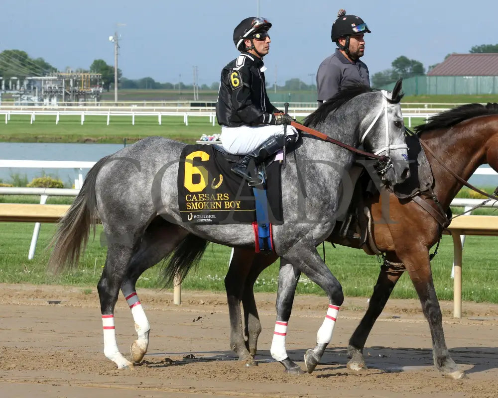 SMOKEN BOY - Caesars - 20th Running - 05-14-25 - R08 - Horseshoe Indiana - Post Parade 01 - Sammantha Pagels Indiana