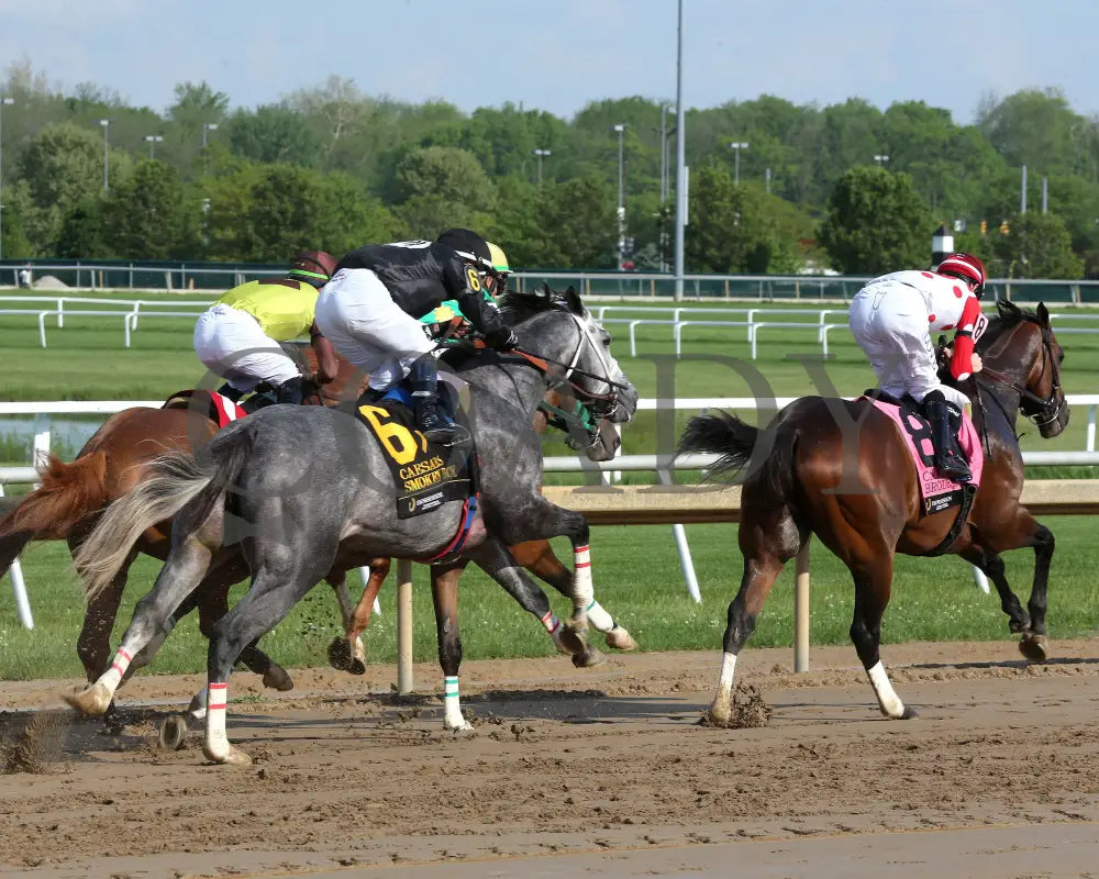 SMOKEN BOY - Caesars - 20th Running - 05-14-25 - R08 - Horseshoe Indiana - Start 01 - Sammantha Pagels Indiana Grand