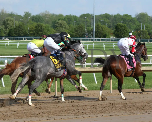 SMOKEN BOY - Caesars - 20th Running - 05-14-25 - R08 - Horseshoe Indiana - Start 01 - Sammantha Pagels Indiana Grand