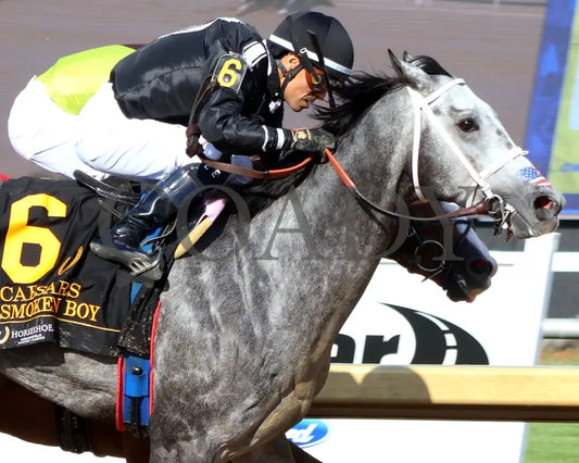 SMOKEN BOY - Caesars - 20th Running - 05-14-25 - R08 - Horseshoe Indiana - Tight Finish 01 - Eve Granitz Indiana Grand