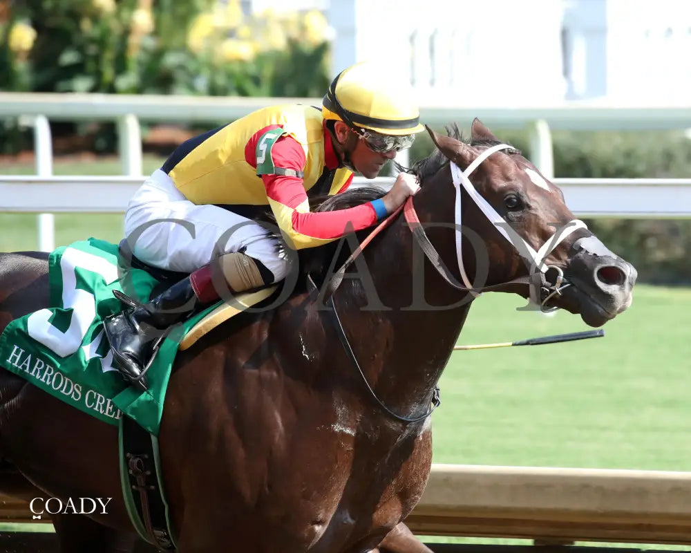 SMOKEN WICKED - The Harrods Creek - 5th Running - 09-20-25 - R07 - CD - Finish 02 - Coady Media - Kurtis Coady Photography