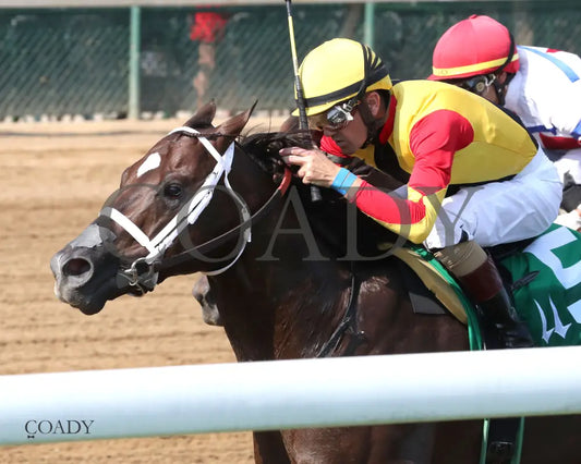 SMOKEN WICKED - The Harrods Creek - 5th Running - 09-20-25 - R07 - CD - Inside Finish 01 - Coady Media - Kurtis Coady Photography
