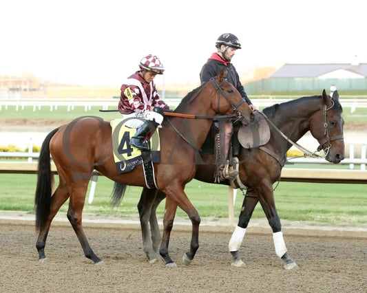SMOKINGHOT JUSTICE - Miss Indiana - 28th Running - 11-13-25 - R10 - Horseshoe Indiana - Post Parade 01 Indiana Grand