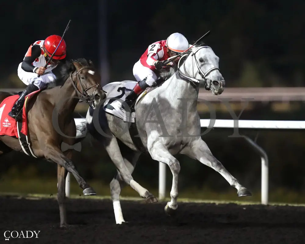 SMOOCH UP - The Presque Isle Debutante Stakes - 09-19-25 - R06 - PID - Finish 02 - Coady Media - Kurtis Coady Photography