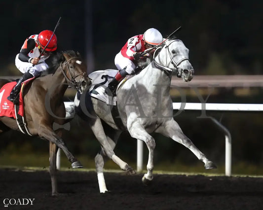 SMOOCH UP - The Presque Isle Debutante Stakes - 09-19-25 - R06 - PID - Finish 02 - Coady Media - Kurtis Coady Photography