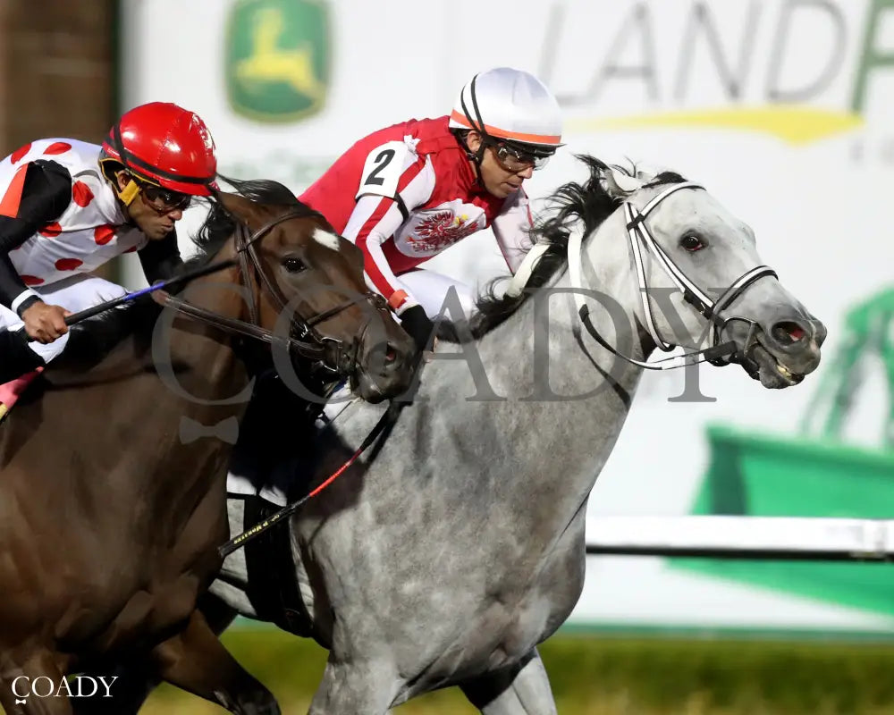 SMOOCH UP - The Presque Isle Debutante Stakes - 09-19-25 - R06 - PID - Finish 03 - Coady Media - Kurtis Coady Photography
