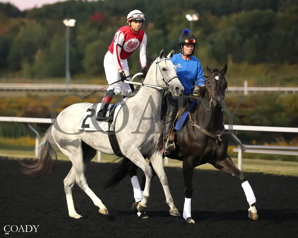 SMOOCH UP - The Presque Isle Debutante Stakes - 09-19-25 - R06 - PID - Post Parade 01 - Coady Media - Kurtis Coady Photography