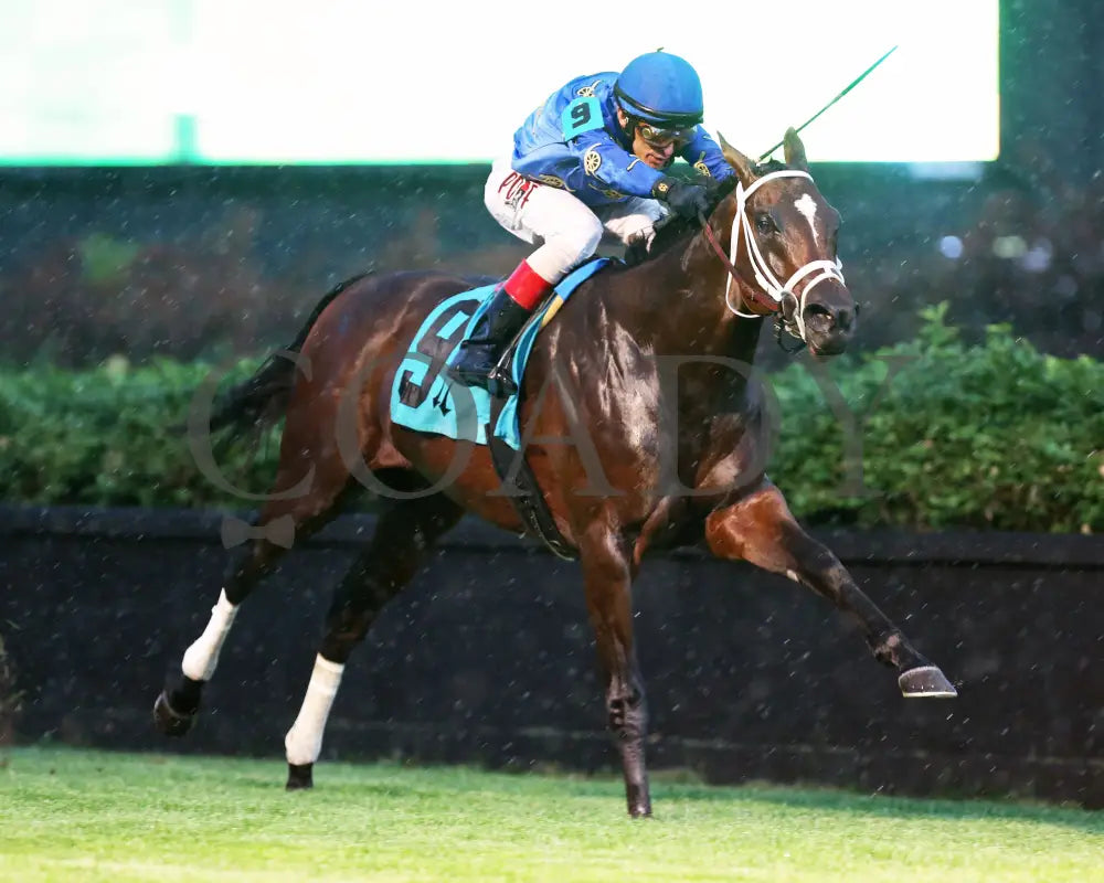 Smooth Like Strait - The War Chant 1St Running 05-23-20 R11 Cd Finish 02 Churchill Downs