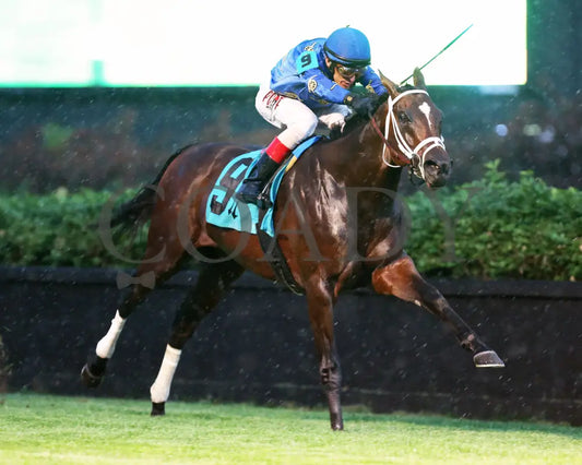 Smooth Like Strait - The War Chant 1St Running 05-23-20 R11 Cd Finish 02 Churchill Downs