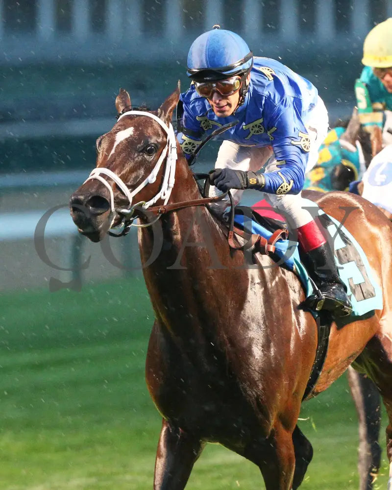 Smooth Like Strait - The War Chant 1St Running 05-23-20 R11 Cd Inside Finish 01 Churchill Downs