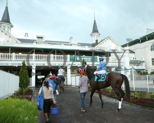 Smooth Like Strait - The War Chant 1St Running 05-23-20 R11 Cd Paddock 02 Churchill Downs