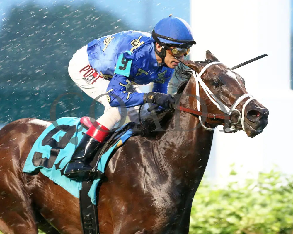 Smooth Like Strait - The War Chant 1St Running 05-23-20 R11 Cd Tight Finish 01 Churchill Downs