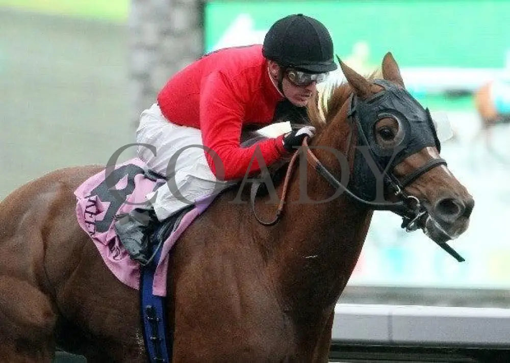 Snuggs And Kisses - 1 101911 Race 04 Keeneland