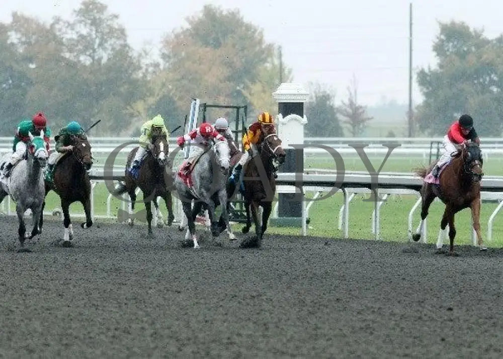 Snuggs And Kisses - 2 101911 Race 04 Keeneland
