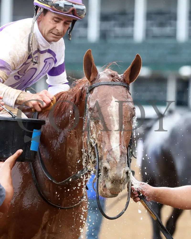 Society Man - The Matt Winn G3 27Th Running 06-09-24 R08 Cd Come Back 02 Churchill Downs