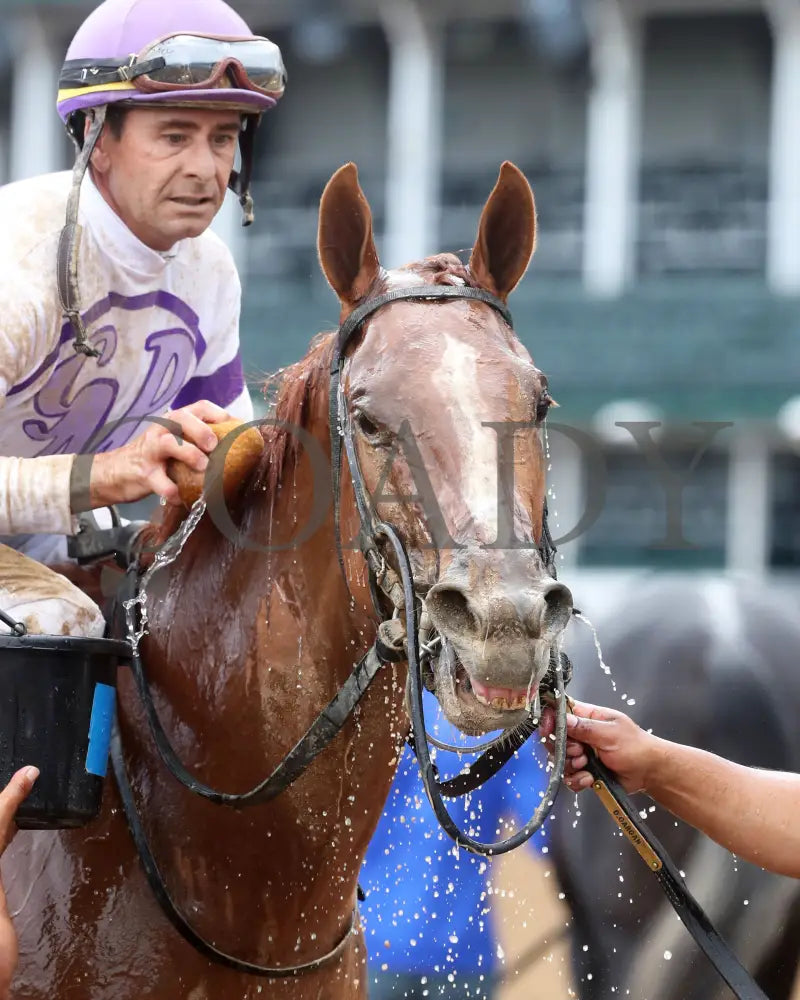Society Man - The Matt Winn G3 27Th Running 06-09-24 R08 Cd Come Back 03 Churchill Downs