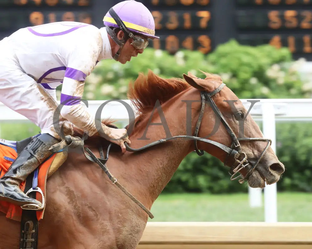 Society Man - The Matt Winn G3 27Th Running 06-09-24 R08 Cd Gallop Out 01 Churchill Downs