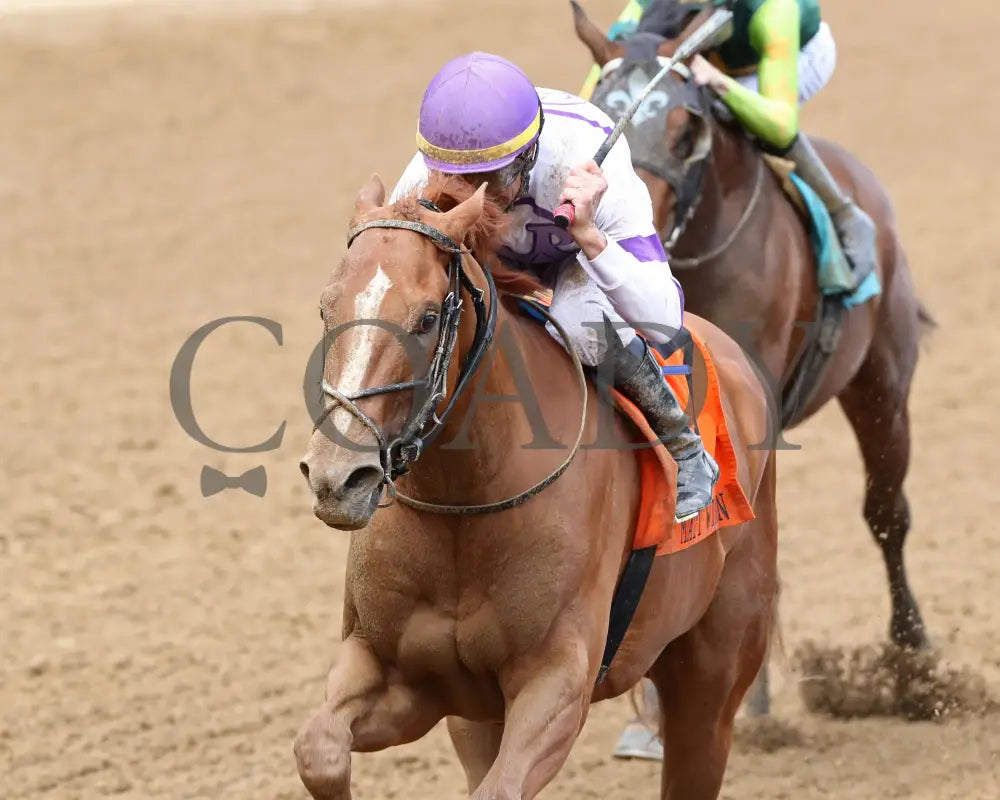Society Man - The Matt Winn G3 27Th Running 06-09-24 R08 Cd Inside Finish 01 Churchill Downs