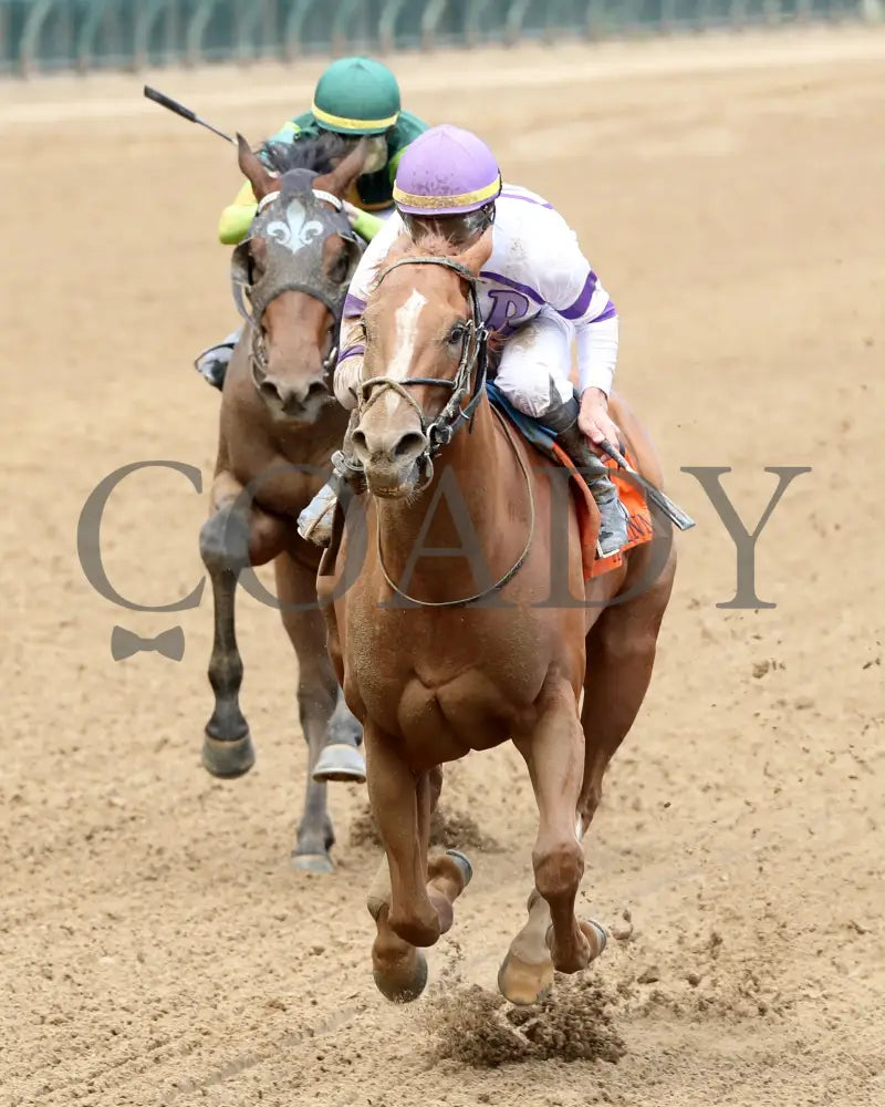 Society Man - The Matt Winn G3 27Th Running 06-09-24 R08 Cd Inside Finish 02 Churchill Downs
