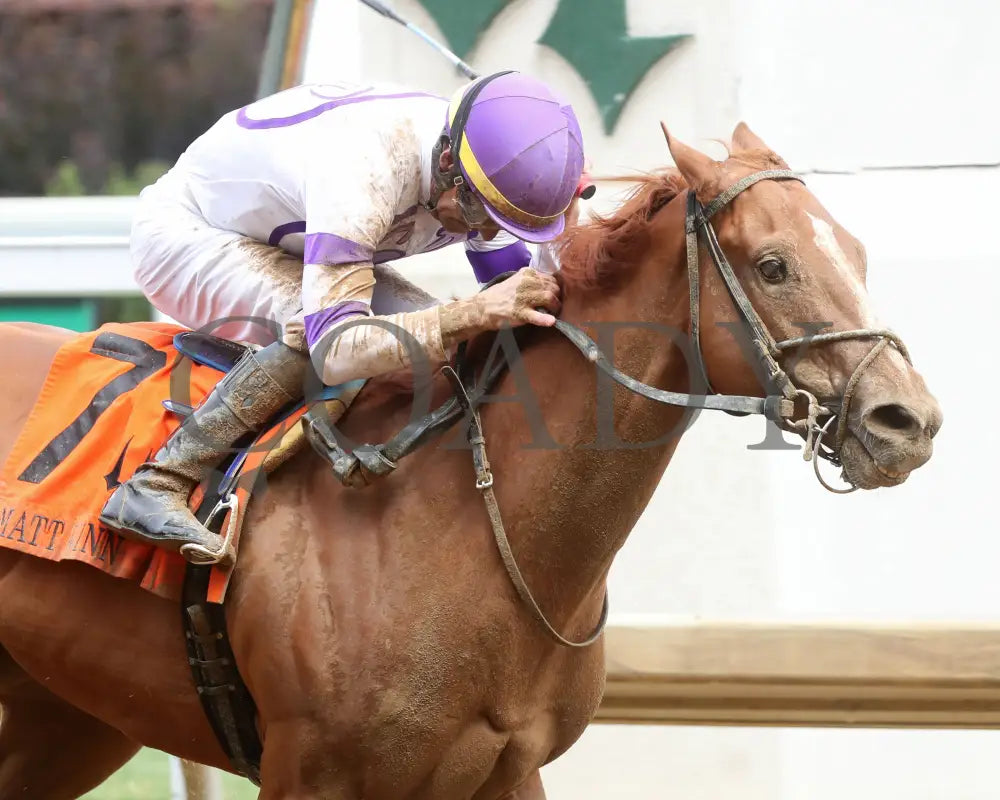 Society Man - The Matt Winn G3 27Th Running 06-09-24 R08 Cd Tight Finish 01 Churchill Downs