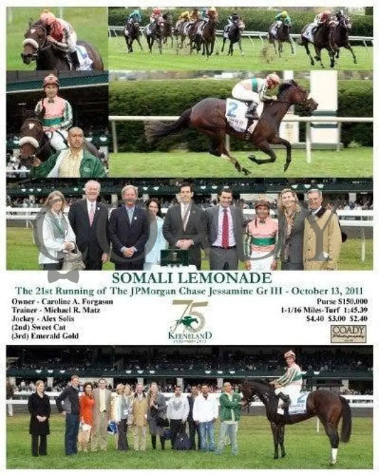 Somali Lemonade - 101311 Keeneland