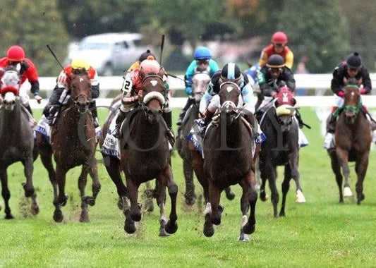 Somali Lemonade - Head On 101311 Race 08 Keeneland