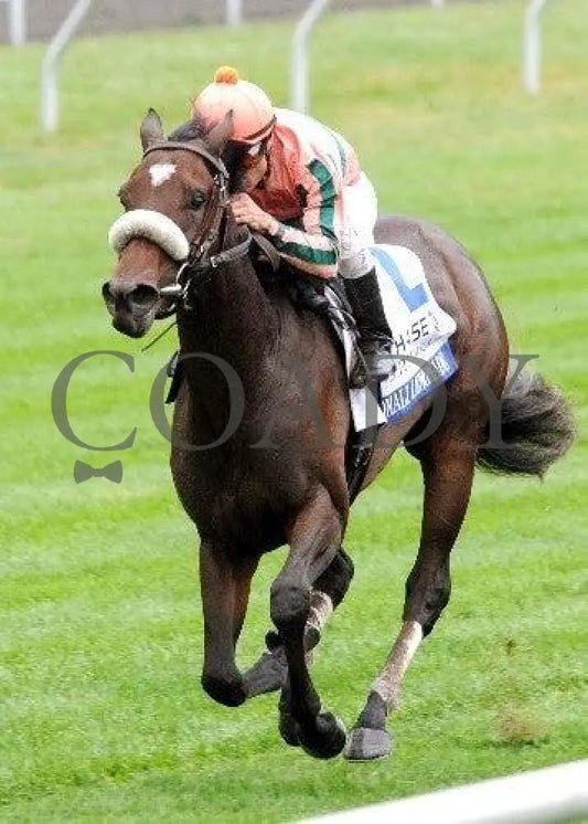 Somali Lemonade - Inside Finish 101311 Race 08 Keeneland