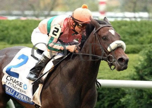 Somali Lemonade - Tight Finish 101311 Race 08 Keeneland