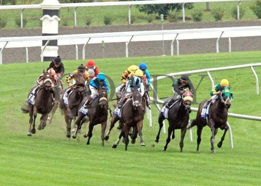 Somali Lemonade - Turn 101311 Race 08 Keeneland