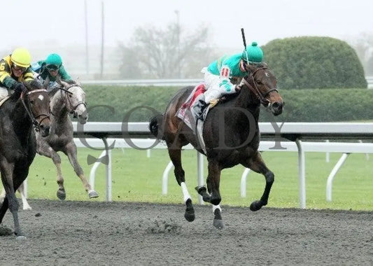 Song Girl - 1 102011 Race 01 Keeneland