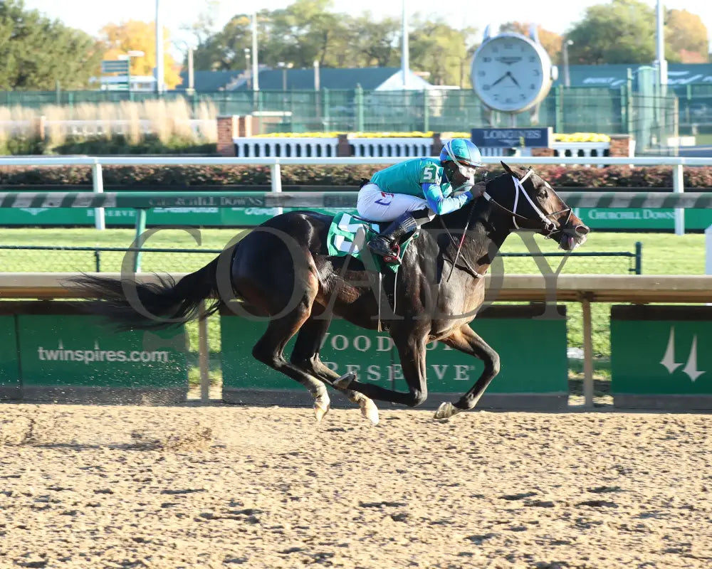 Sonneman - 11-04-20 R08 Cd Churchill Downs