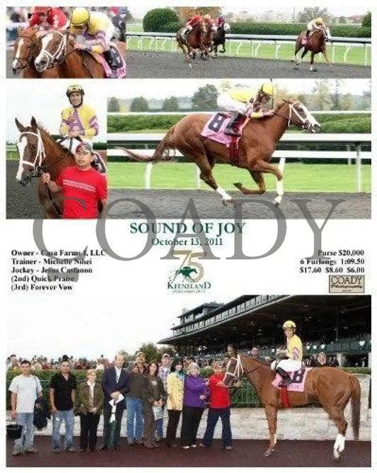 Sound Of Joy - 101311 Keeneland