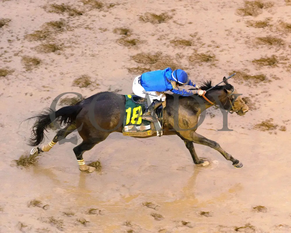 SOVEREIGNTY - The Kentucky Derby - 151st Running - 05-03-25 - R12 - CD - Aerial Finish 01 Churchill Downs