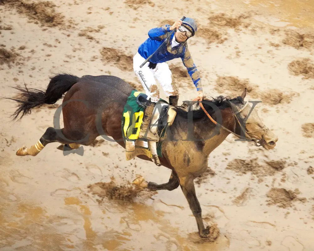 SOVEREIGNTY - 050325 - Race 12 - CD -Aerial Finish 03 Churchill Downs