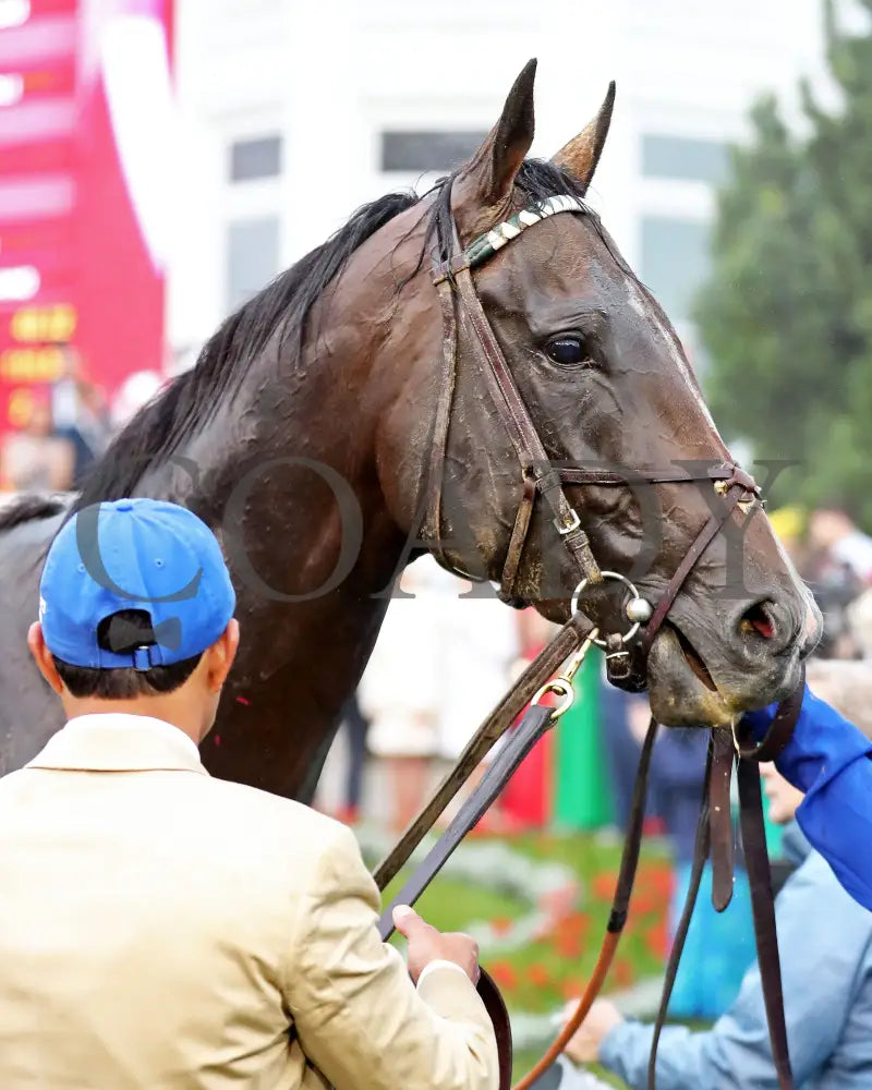 SOVEREIGNTY - 050325 - Race 12 - CD - Bath 01 Churchill Downs