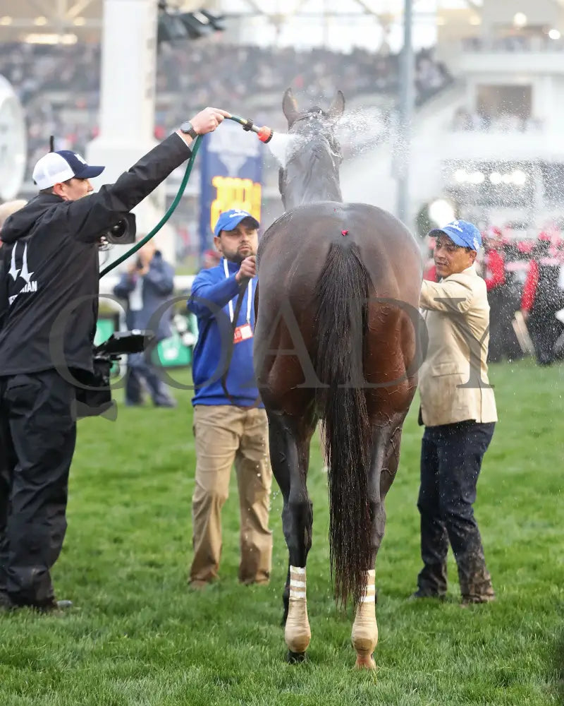 SOVEREIGNTY - 050325 - Race 12 - CD - Bath 02 Churchill Downs