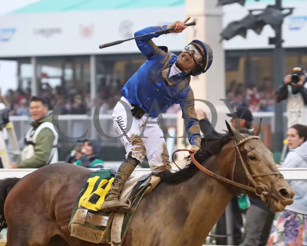 SOVEREIGNTY - The Kentucky Derby - 151st Running - 05-03-25 - R12 - CD - Celebration 02 Churchill Downs