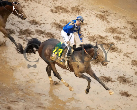 SOVEREIGNTY - The Kentucky Derby - 151st Running - 05-03-25 - R12 - CD - Celebration 13 Churchill Downs