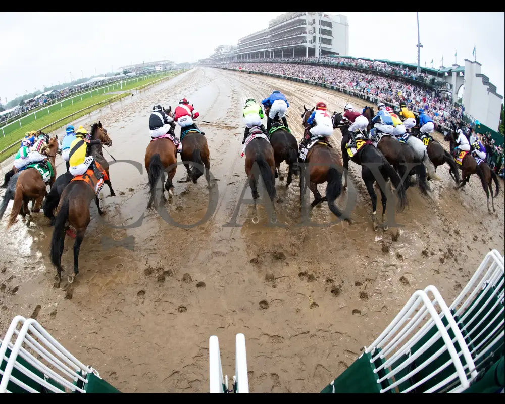 SOVEREIGNTY - 050325 - Race 12 - CD - Gate Start 01 Churchill Downs