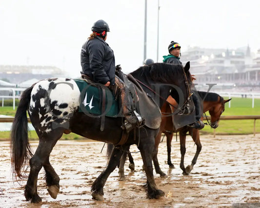 SOVEREIGNTY - The Kentucky Derby - 151st Running - 05-03-25 - R12 - CD - Harley 01 Churchill Downs