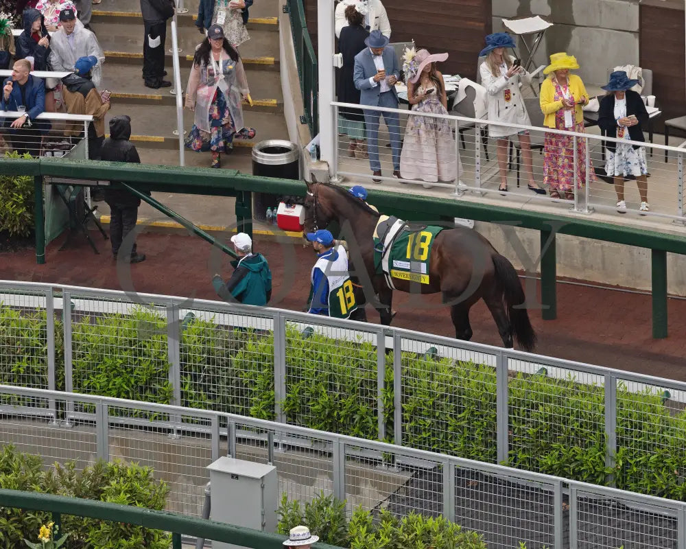 SOVEREIGNTY - The Kentucky Derby - 151st Running - 05-03-25 - R12 - CD - Paddock 09 Churchill Downs