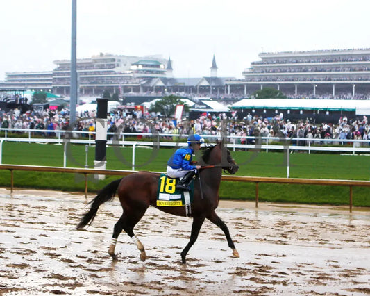 SOVEREIGNTY - The Kentucky Derby - 151st Running - 05-03-25 - R12 - CD - Post Parade 08 Churchill Downs