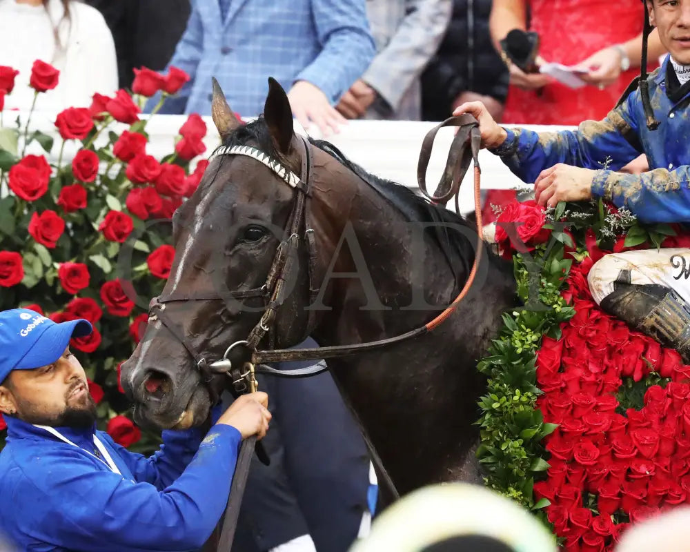 SOVEREIGNTY - The Kentucky Derby - 151st Running - 05-03-25 - R12 - CD - Post Race 02 Churchill Downs