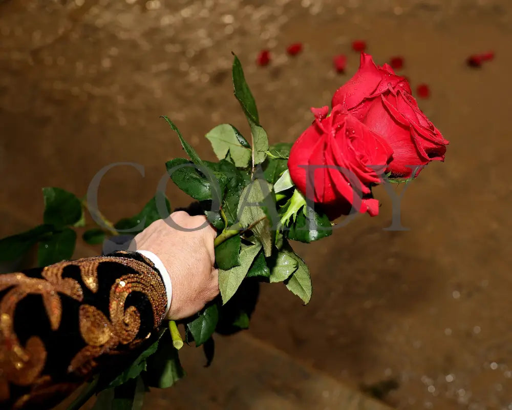 SOVEREIGNTY - The Kentucky Derby - 151st Running - 05-03-25 - R12 - CD - Rose 01 Churchill Downs