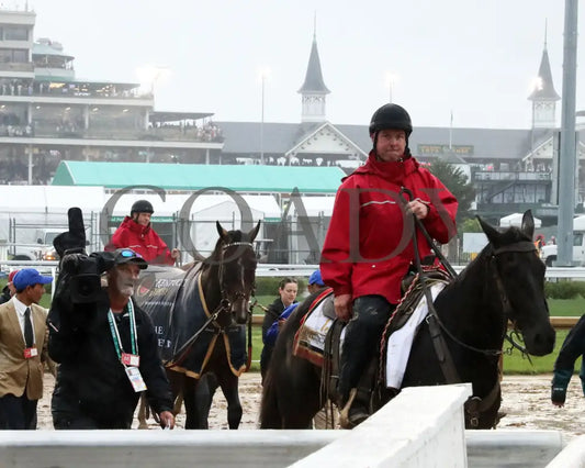 SOVEREIGNTY - The Kentucky Derby - 151st Running - 05-03-25 - R12 - CD - Walk Back 08 Churchill Downs